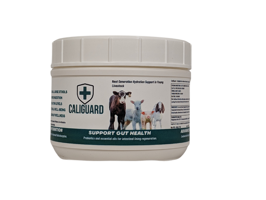 Sulutions CaliGuard Jar