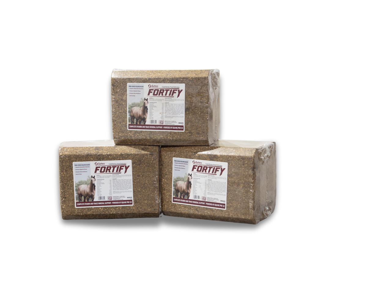 FORTIFY Equine Block