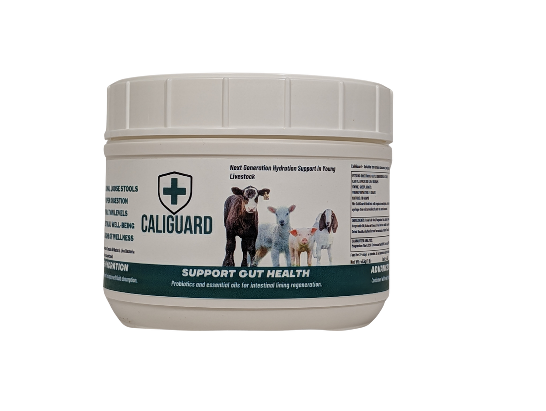 Sulutions CaliGuard Jar – Suther Feeds