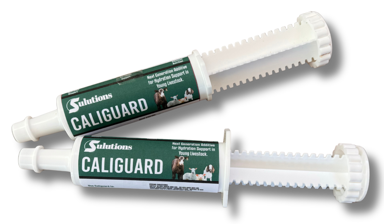 Sulutions Caliguard 60cc