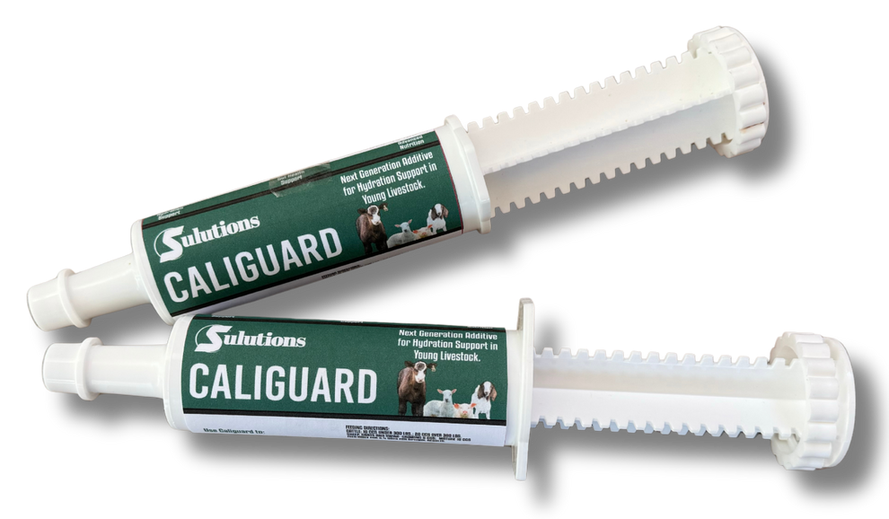 Sulutions Caliguard 60cc – Suther Feeds