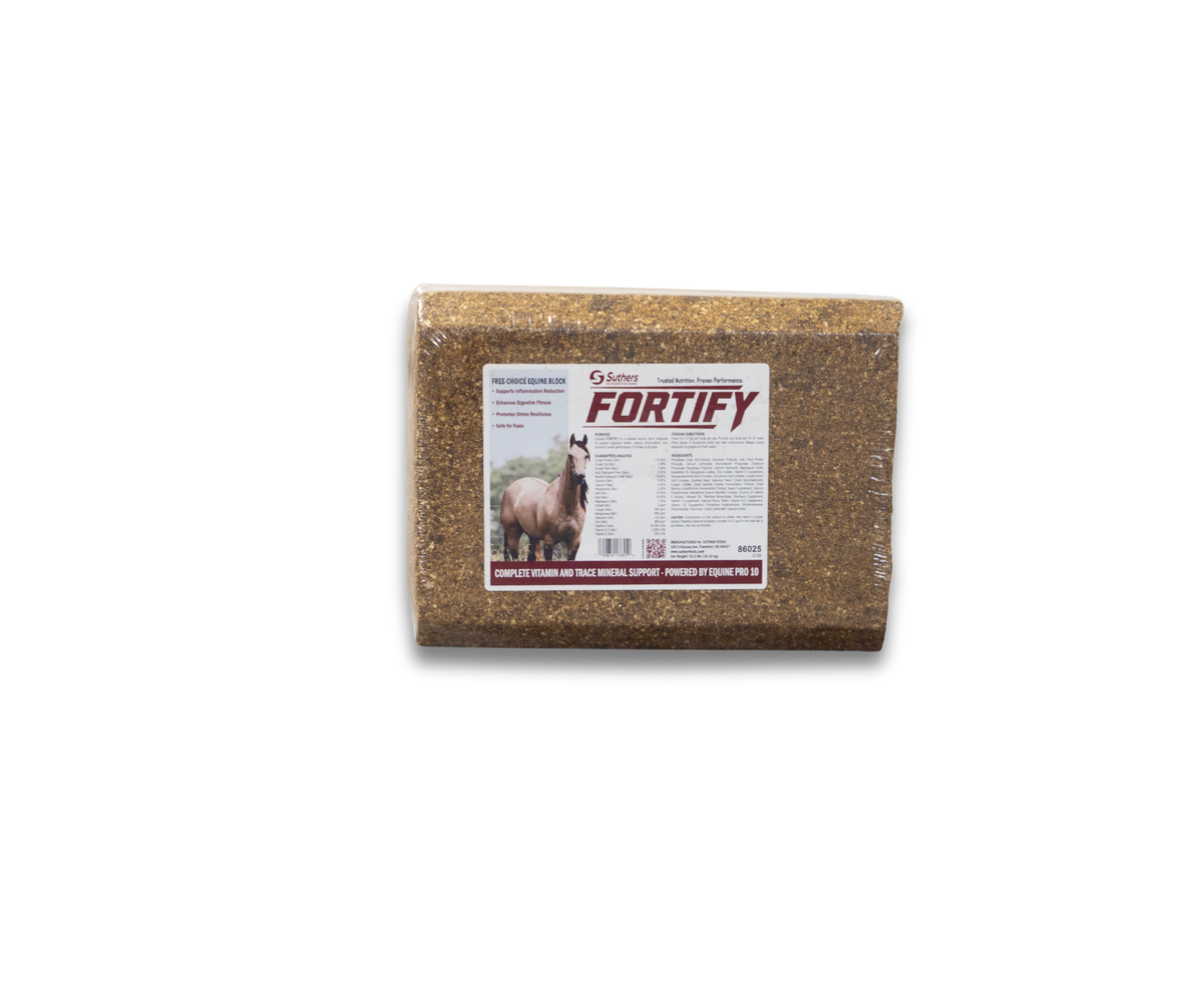 FORTIFY Equine Block